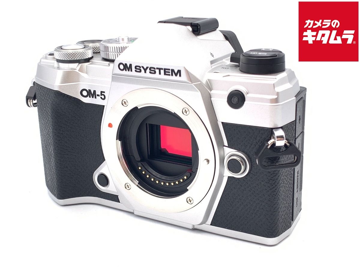 SONY ミラーレス一眼 NEX-5R ホワイト SONY α NEX-5RL パワーズーム