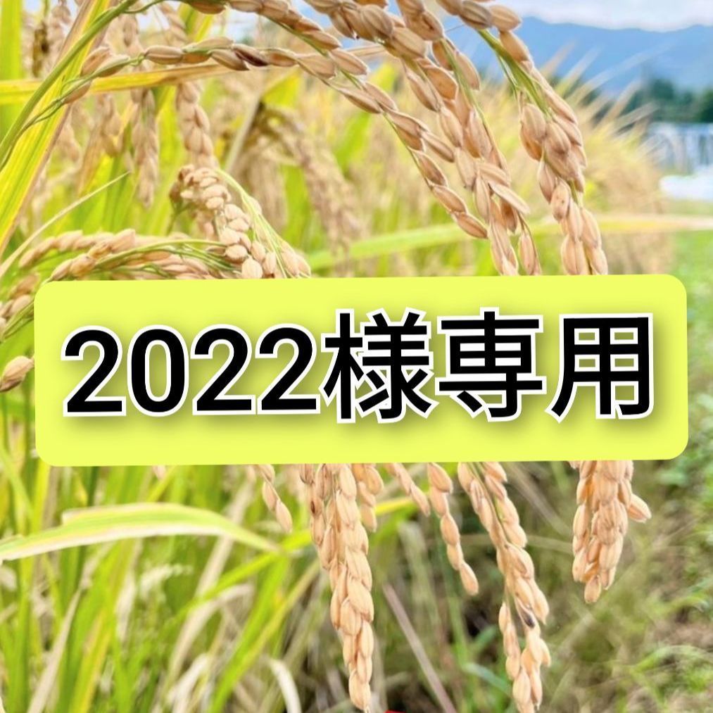 R7年 自然栽培 朝日米10kg玄米 益城産 幻の米 - メルカリ