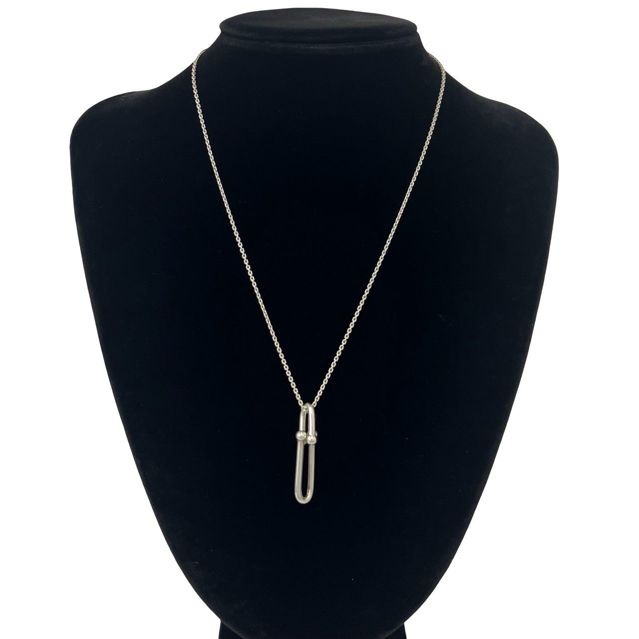 極 美品 保存箱 袋付き TIFFANY&Co. ティファニー ハードウェア リンク