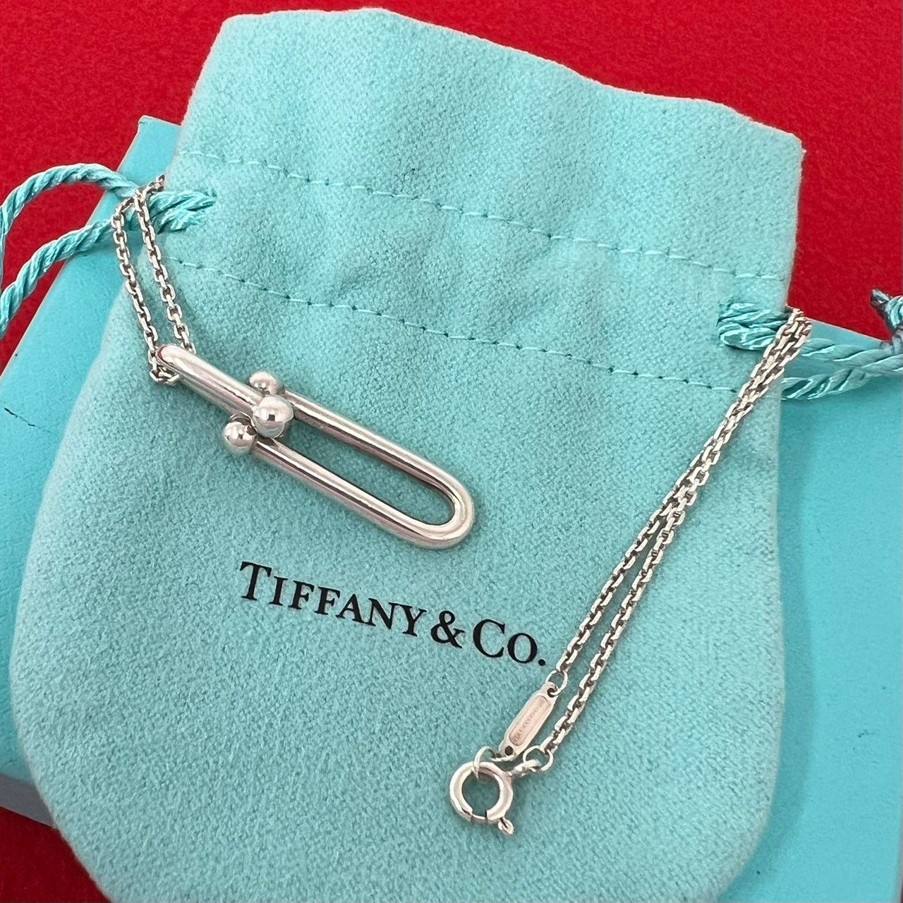 極 美品 保存箱 袋付き TIFFANY&Co. ティファニー ハードウェア リンク
