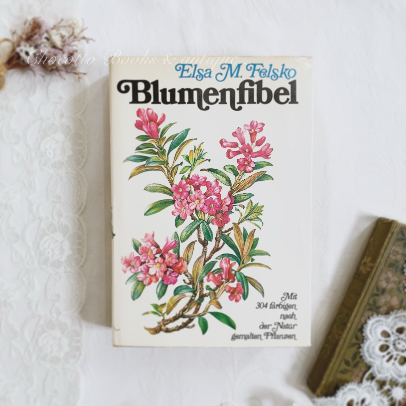 【美品】1980年 Elsa Felsko 植物図鑑 304点 ボタニカルアート ドイツ植物画家Elsa Felskoのビンテージ本Blumen Fibel /ボタニカル