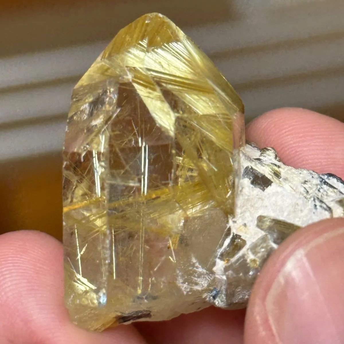 天然 ゴールドルチルクォーツ 原石 水晶 鉱物標本 コレクション - メルカリ