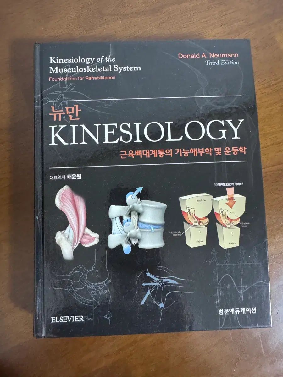 ニューマン kinesiology 8,318円