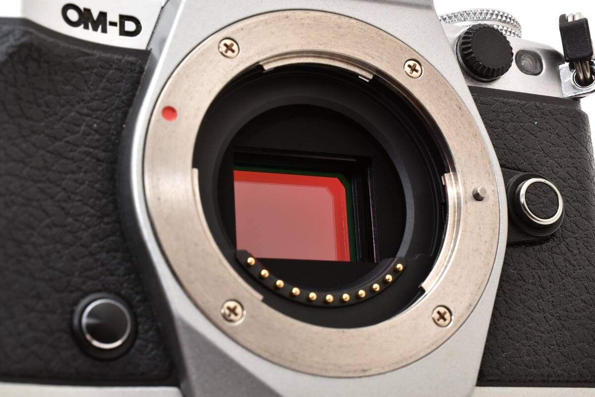 ☆実用品☆ 《シャッター数 3167回》OLYMPUS オリンパス OM-D E-M5