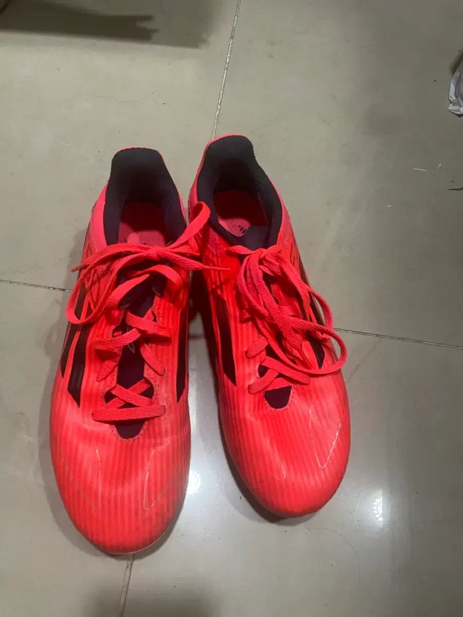 アディダス F50 FGサッカーシューズ 255