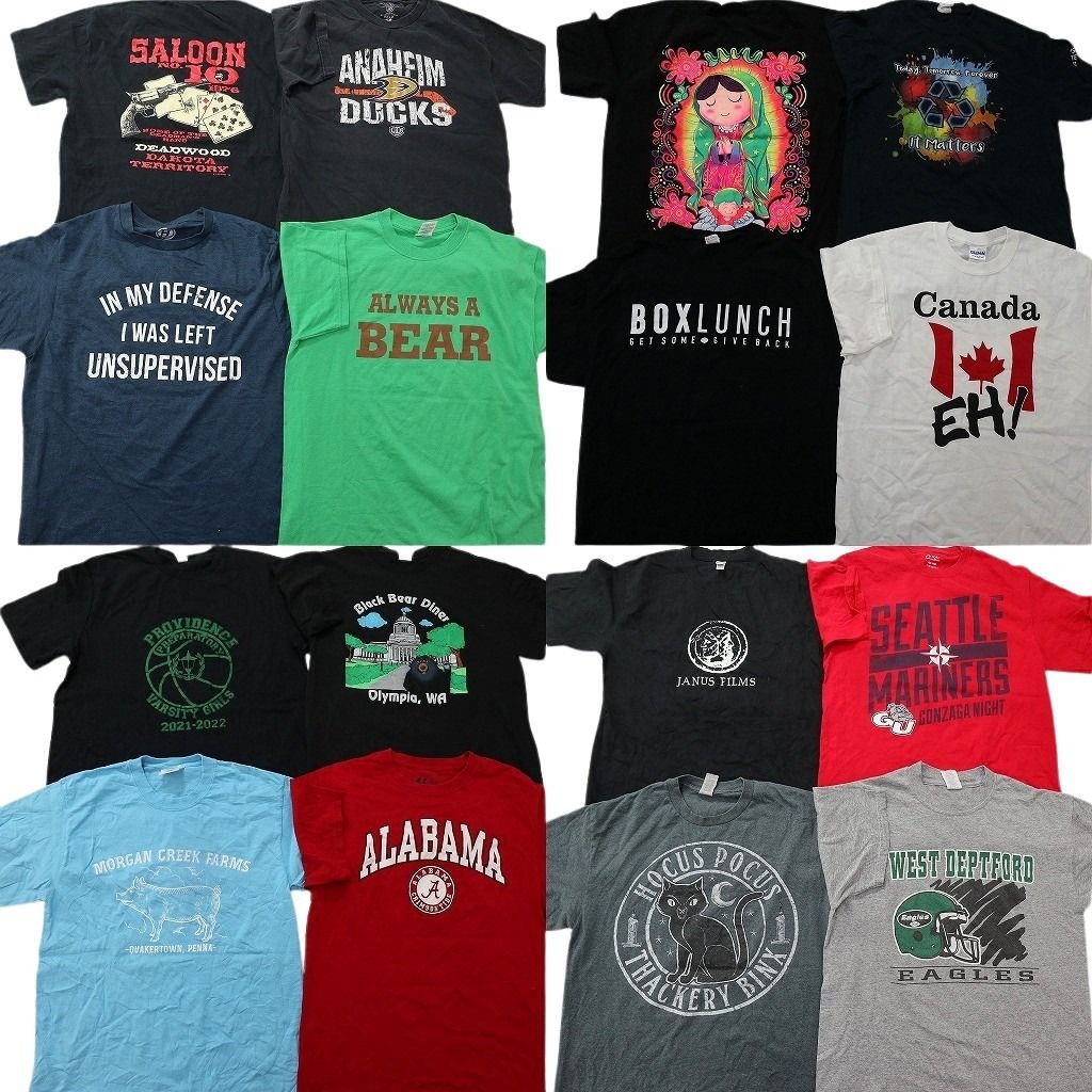 古着卸 まとめ売り プリント Tシャツ 16枚セット ( メンズ Ｍ ) カレッジ風 トランプ アニマル フットボール 中古 古着 NF8194