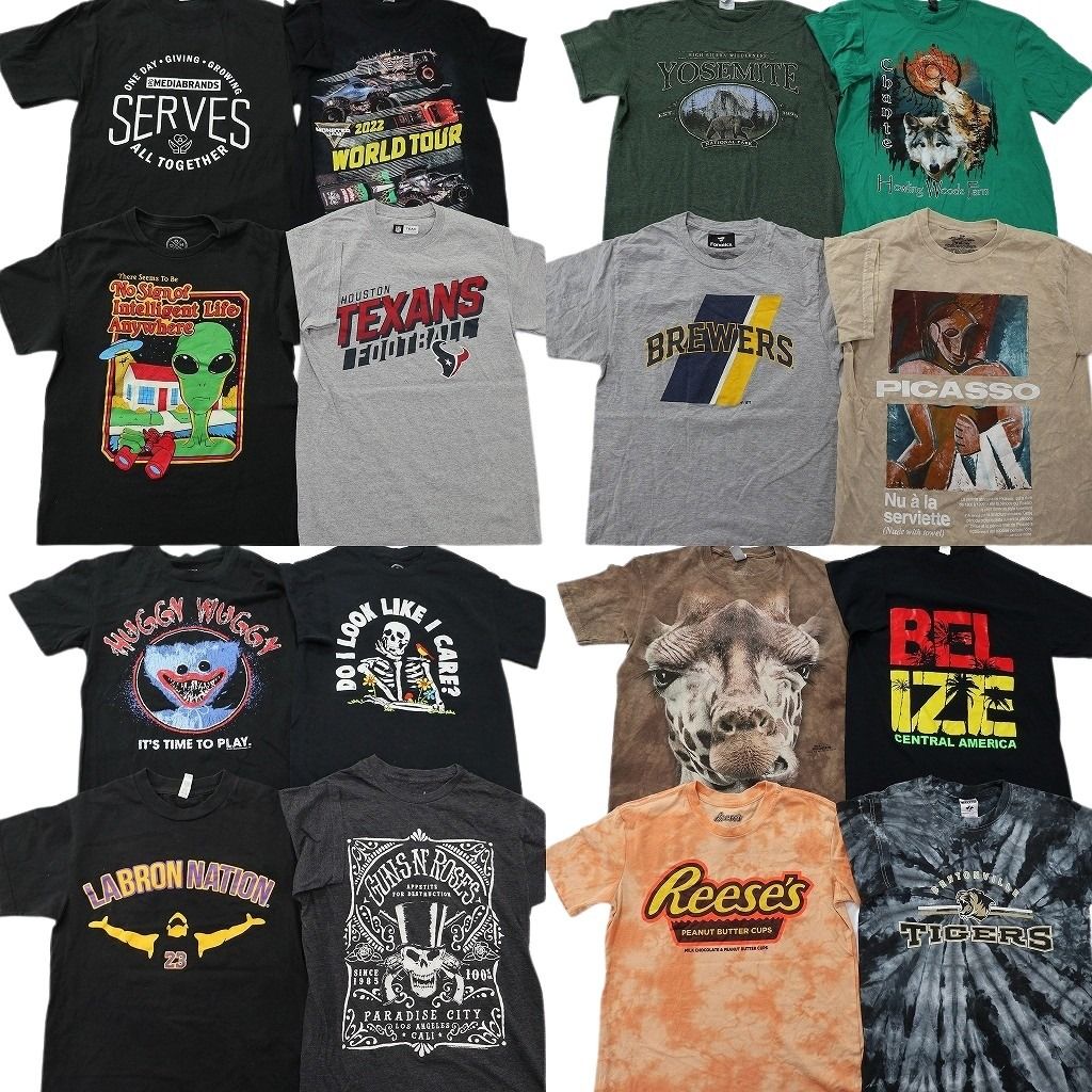古着卸 まとめ売り プリント Tシャツ 16枚セット ( メンズ S ) フットボール レーシング エイリアン アニマル タイダイ柄 中古 古着 NF8197