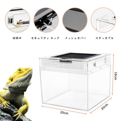爬虫類 小動物 ケージ 爬虫類ケージ 小型」の人気商品一覧・価格比較 - 価格.com Zxyler 多