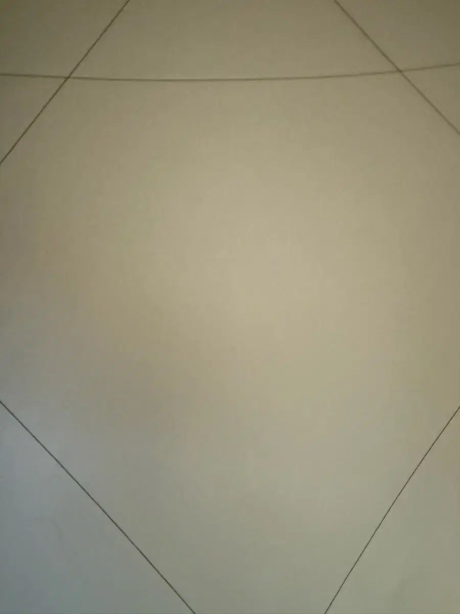 社会文化