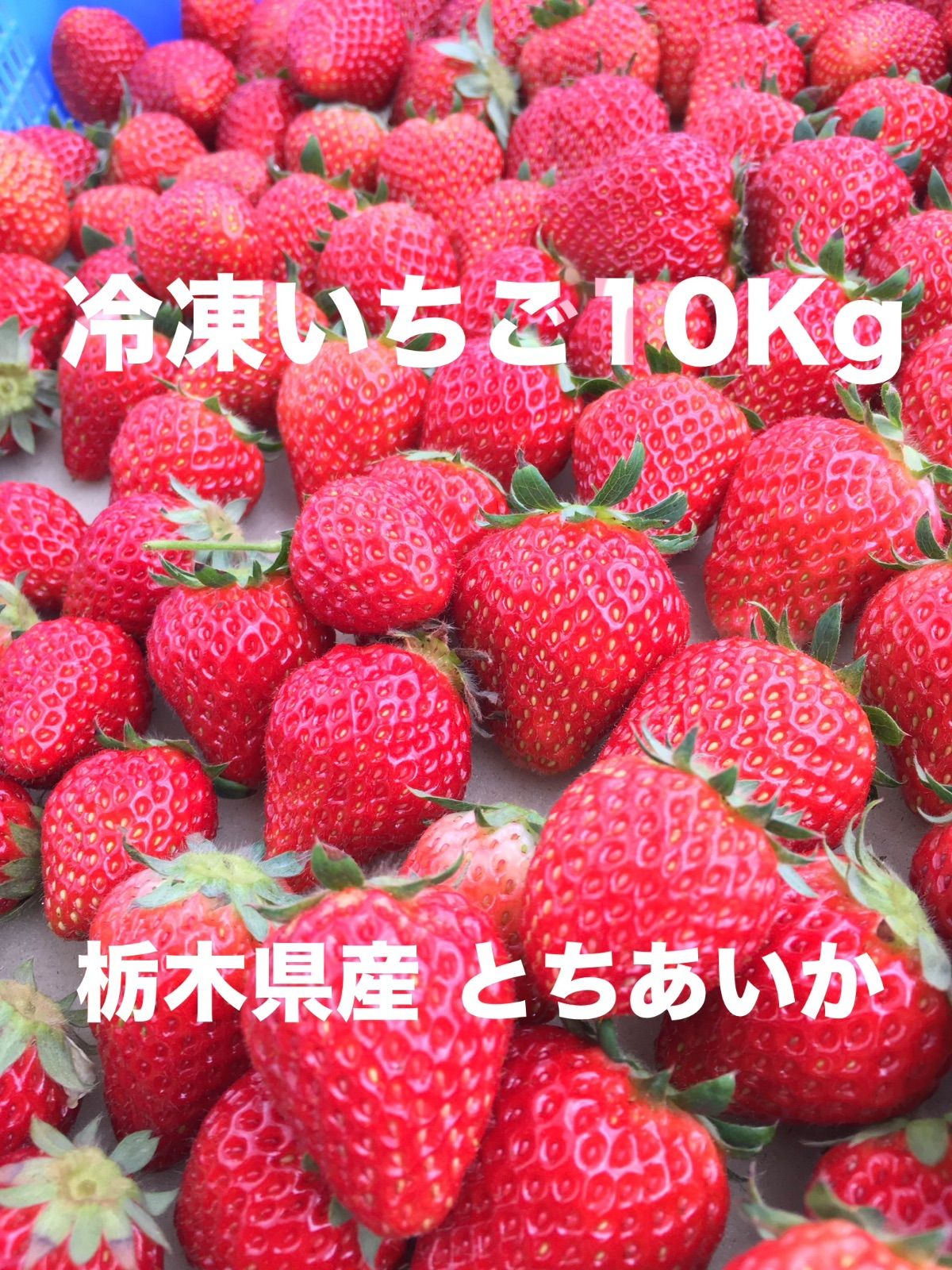 冷凍いちご（栃木県産とちあいか）