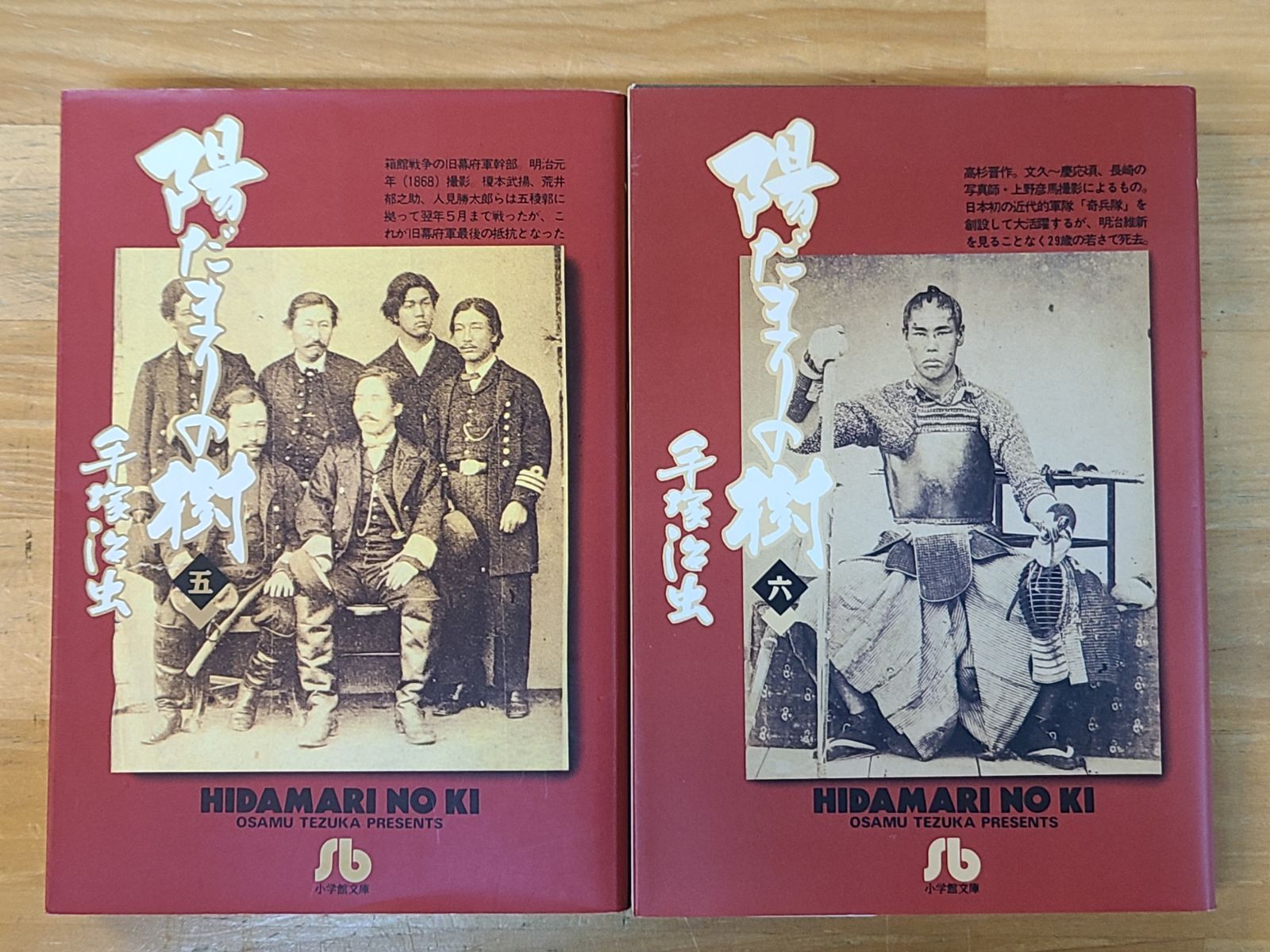 陽だまりの樹 文庫版 1巻～8巻 全巻セット 手塚治虫 【E5349-001】□13