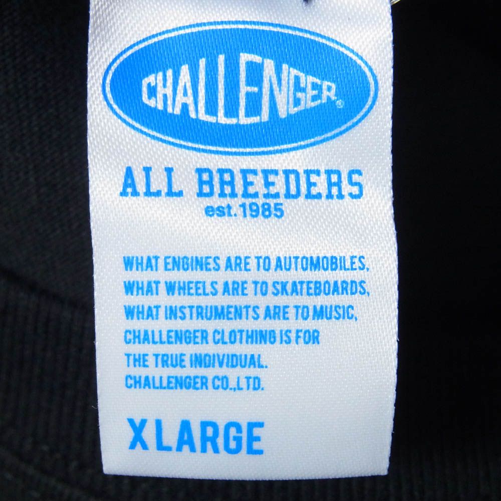 CHALLENGER チャレンジャー CLG-TS 025-030 L/S SUNSET DRIVE TEE サン