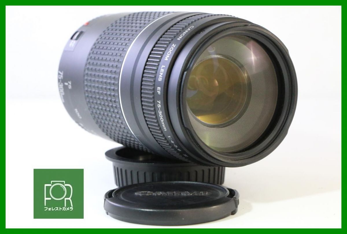 【動作保証・点検済】良品■CANON EF 75-300mm F4-5.6 III■前後キャップ付き■11342
