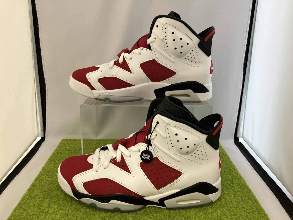 NIKE AIR JORDAN 6 Carmine ナイキ エアジョーダン カーマイン CT8529