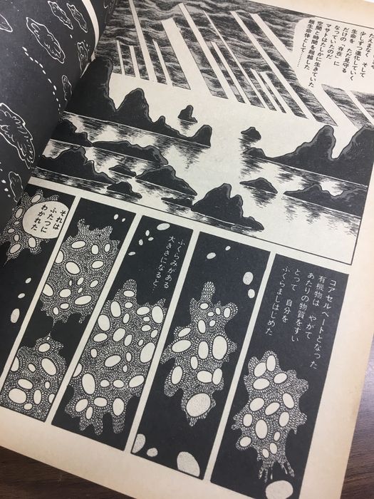 月刊マンガ少年別冊 火の鳥 2.7.8】◇3冊セット 昭和53-55年発行 手塚