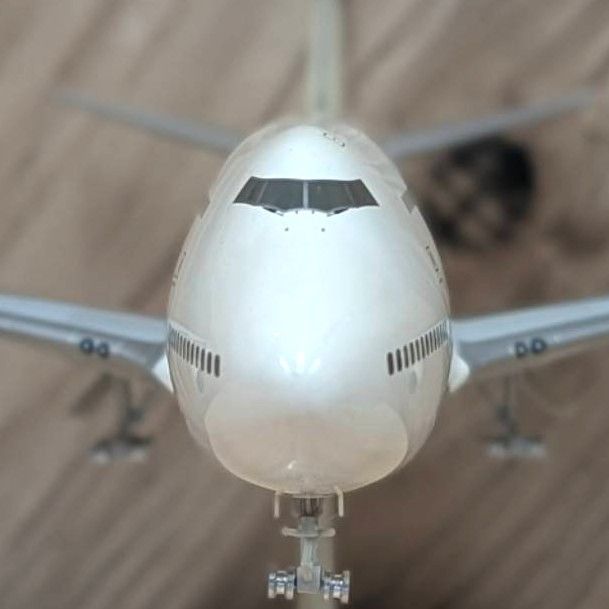 彦】hogan 1/200 JAL ボーイング 747-400 JA8088 日本航空 hogan wings