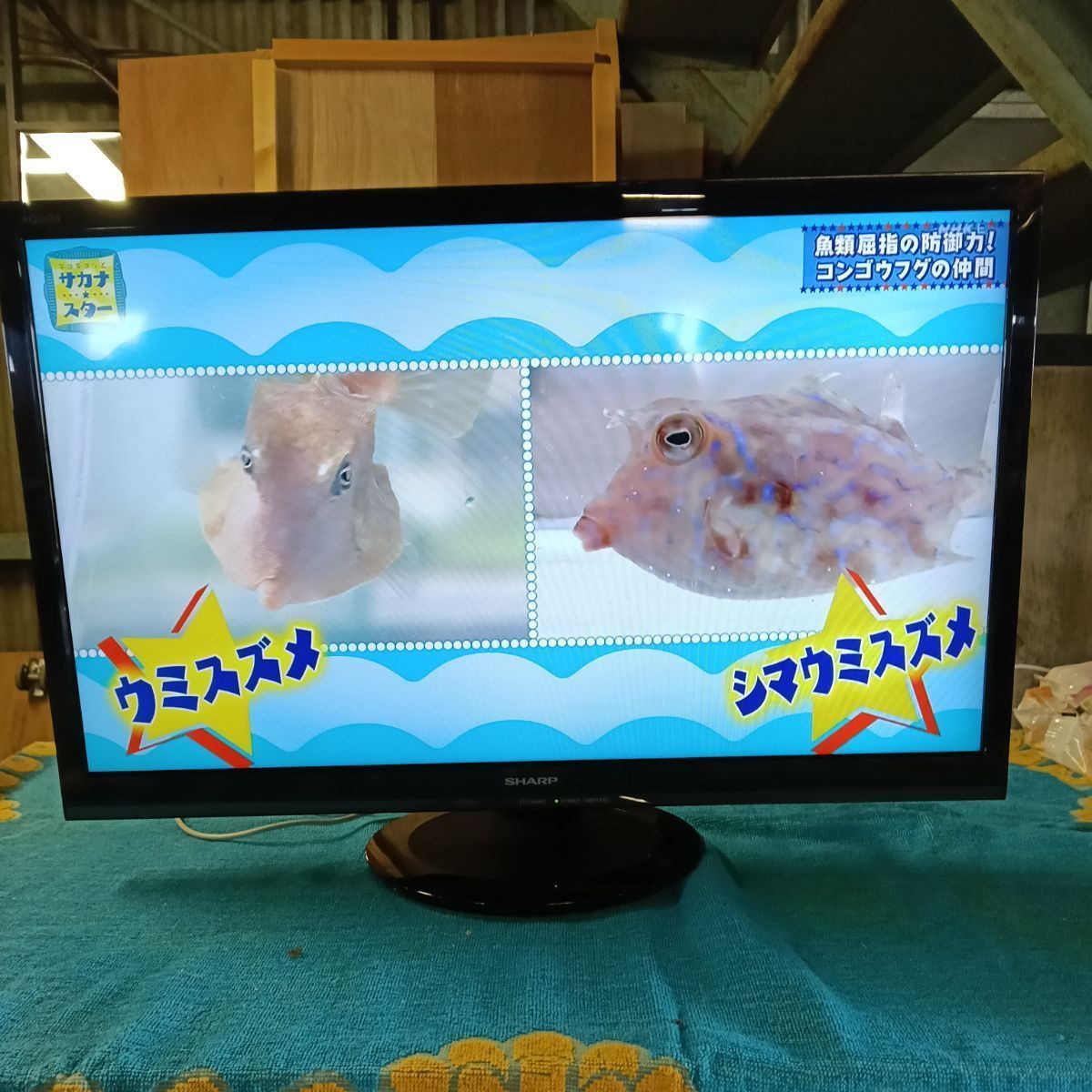 シャープ AQUOS 24型 液晶テレビ 2T-C24AD 動作確認済 中古品 - メルカリ