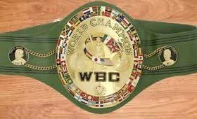 WBC World Boxing Champion Belt アリ　ルイス　ボクシング　 チャンピオンベルト　優勝　　レプリカ プロレス　　小道具　　レプリカ　オーダーメイド【発送到着予定日:9月10日】