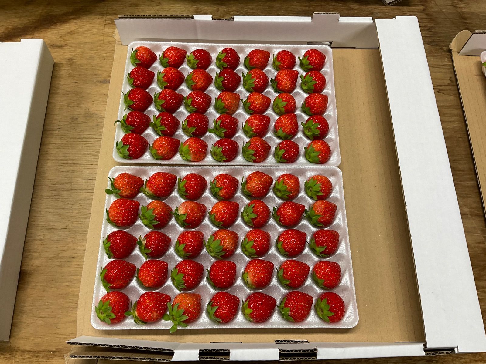 ※日時指定不可能！いちご　35玉A品4箱（8トレー）品種　すずあかね