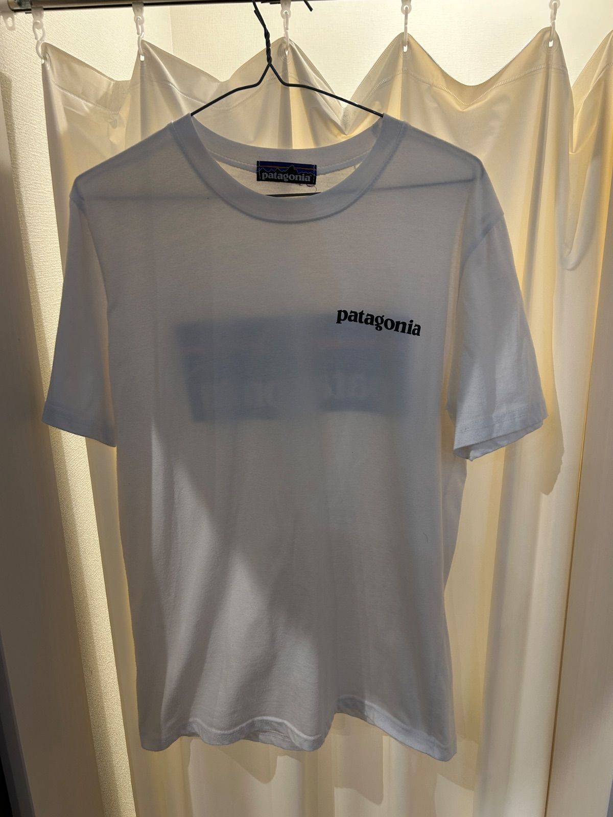 A-2231 パタゴニア PATAGONIA バックプリント プリントT Tシャツ