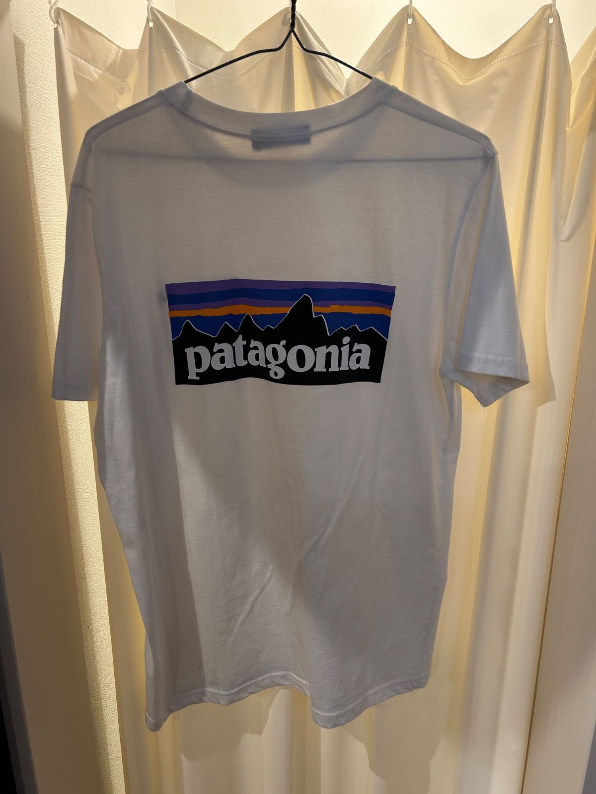 A-2231 パタゴニア PATAGONIA バックプリント プリントT Tシャツ