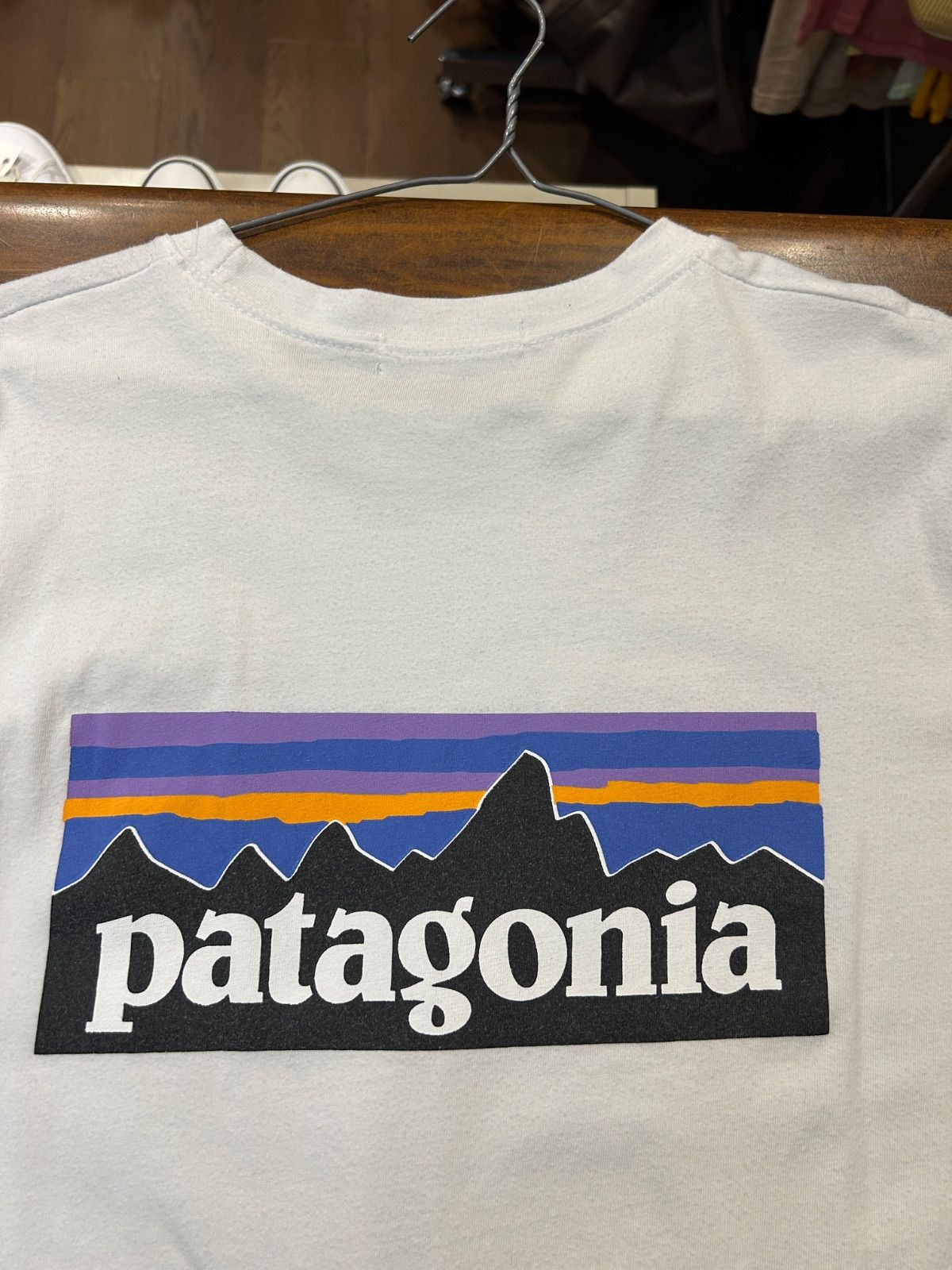 A-2231 パタゴニア PATAGONIA バックプリント プリントT Tシャツ