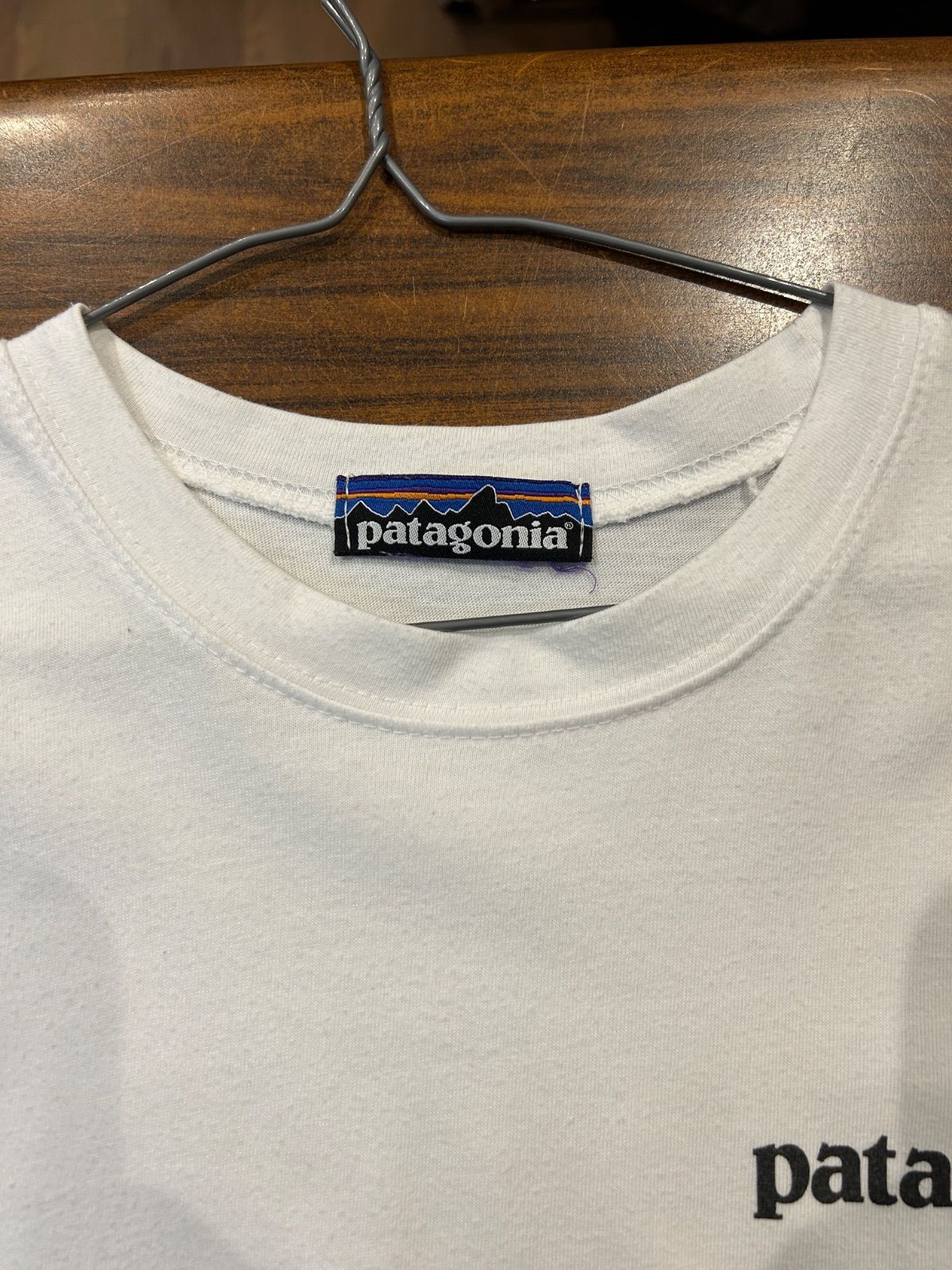 A-2231 パタゴニア PATAGONIA バックプリント プリントT Tシャツ