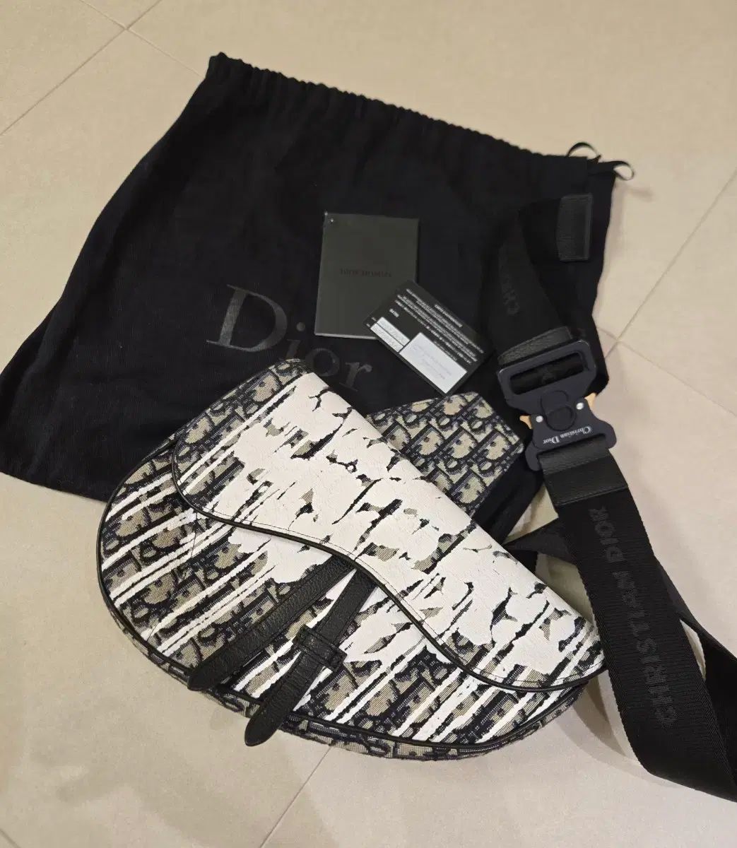 限定モデル Dior オブリーク サドルバッグ レイモンド・ペティボン アーティスト