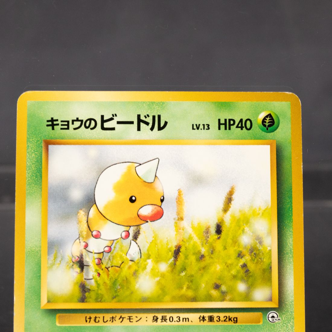 状態Cランク] キョウのビードル No.013 旧裏 Old Back ポケモンカード