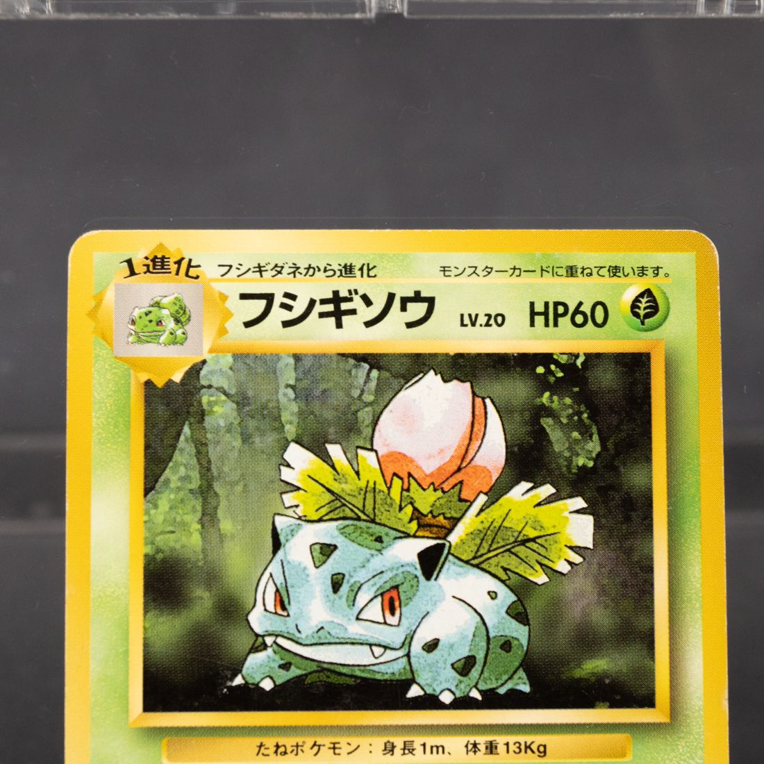 状態Dランク] フシギソウ No.002 旧裏 Old Back ポケモンカード - メルカリ