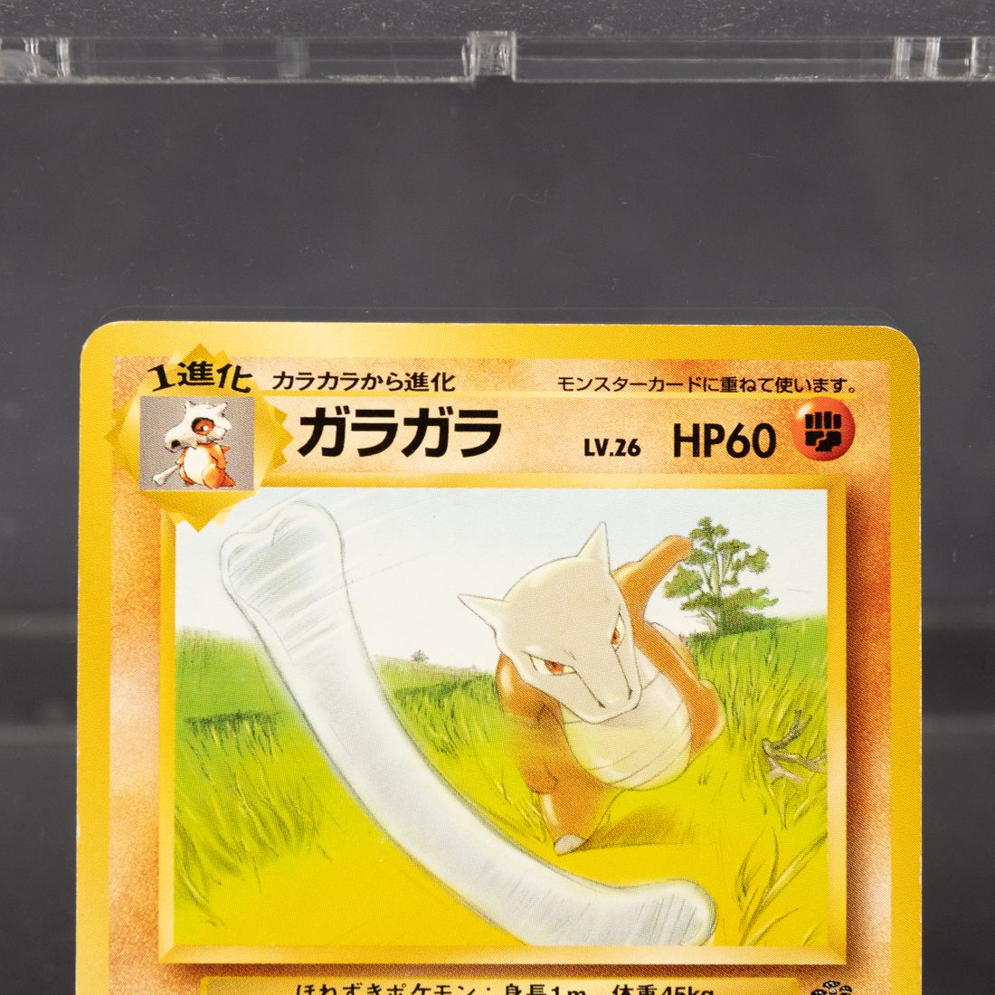 状態Cランク] ガラガラ No.105 旧裏 Old Back ポケモンカード - メルカリ