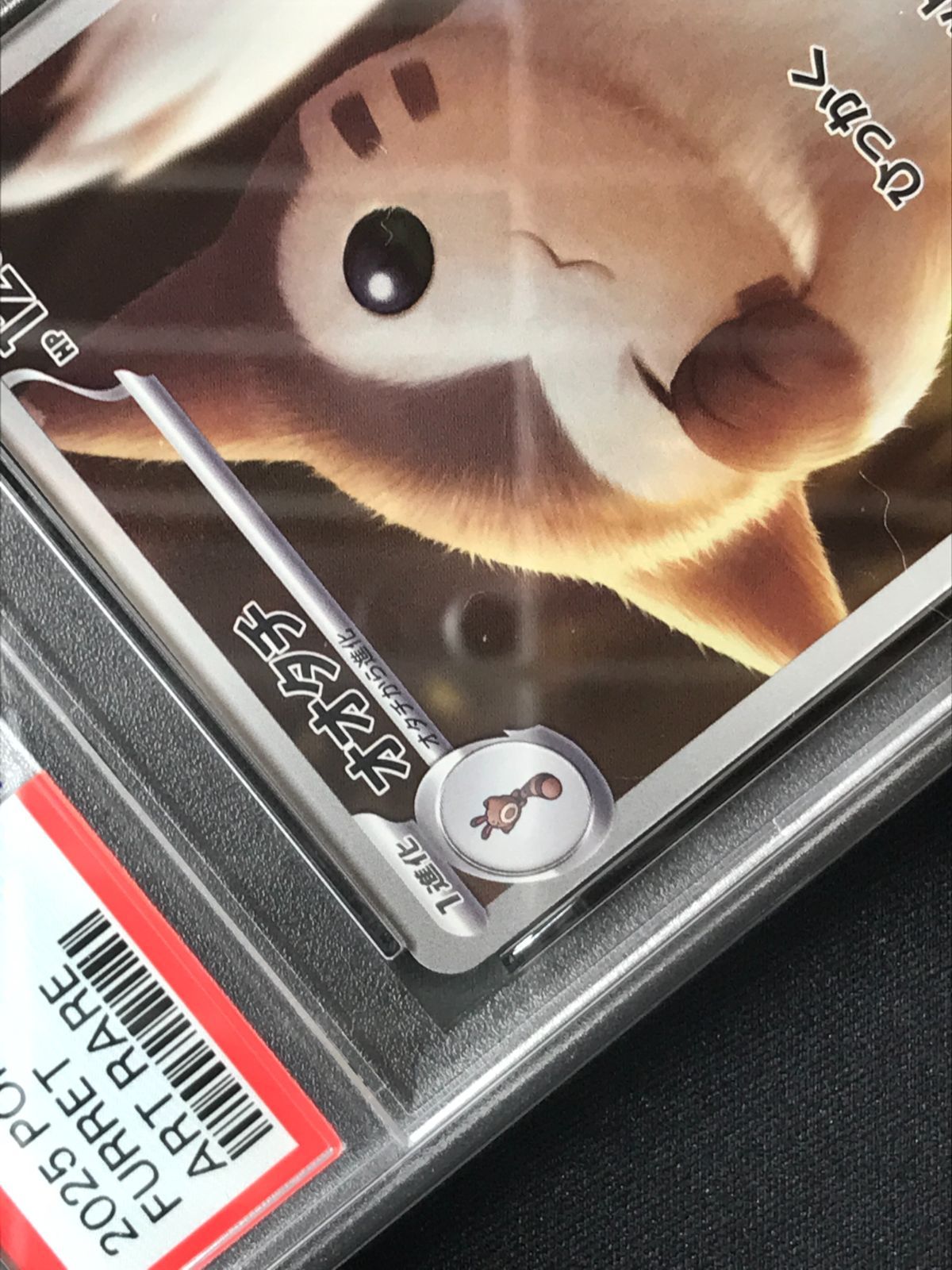 PSA10 ポケモンカードゲーム ポケカ オオタチ AR SV9-110 SV9 拡張