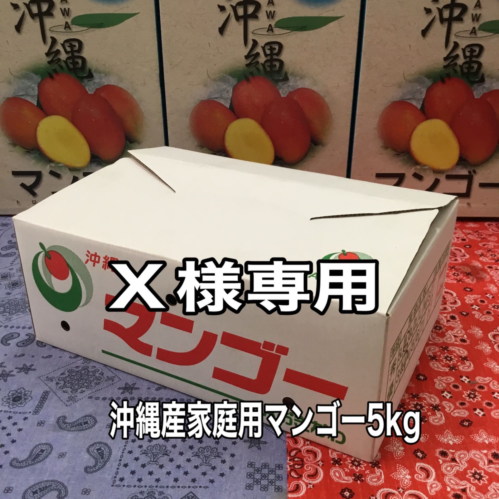 沖縄産マンゴー 5kg 家庭用 クール便 - メルカリ