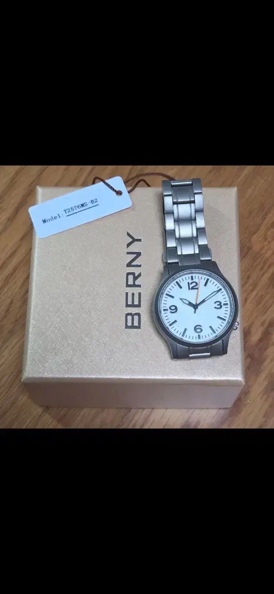 BERNY メンズ メタル ウォッチ T2576MS-B2 チタニウム 10,508円