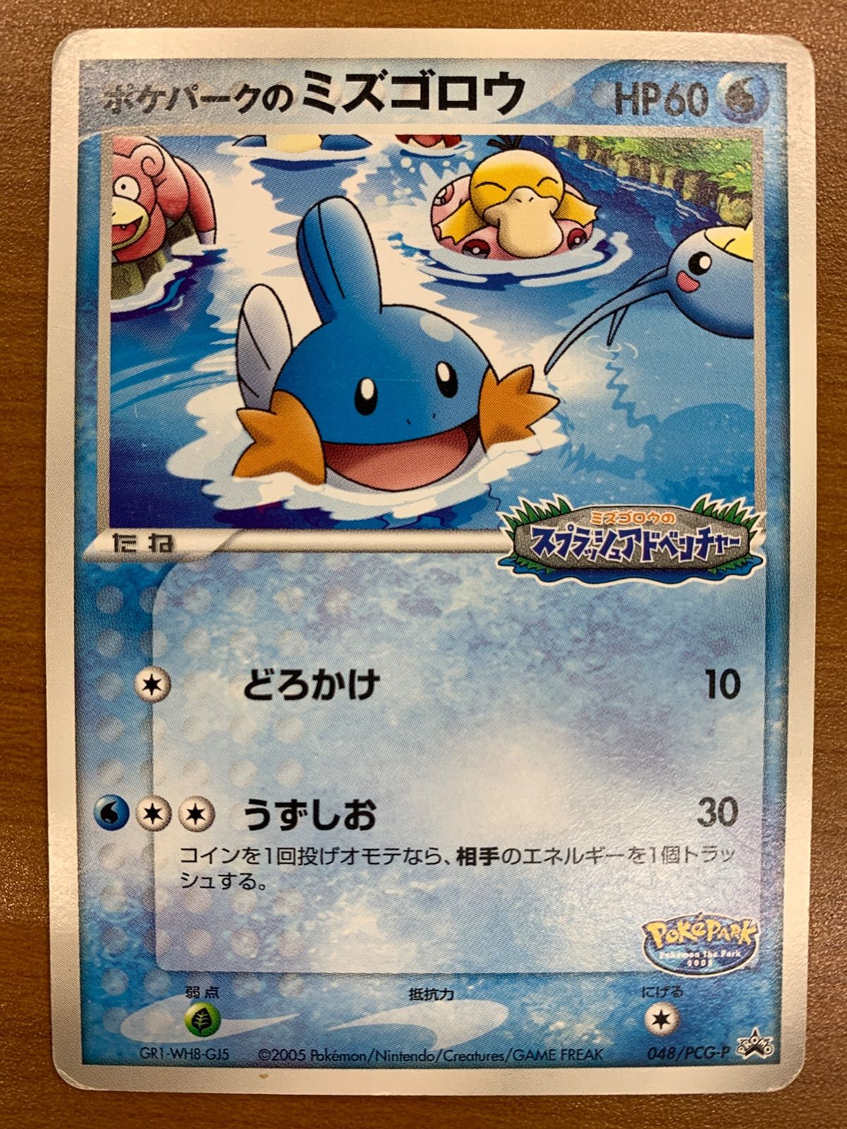 状態D ポケパークのミズゴロウ 048/PCG-P プロモ PROMO ポケパーク