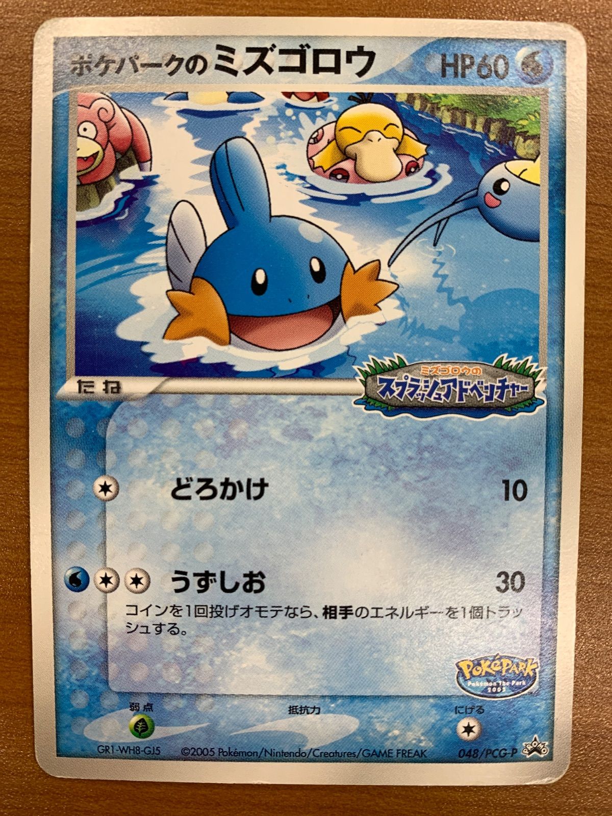 状態C ポケパークのミズゴロウ 048/PCG-P プロモ PROMO ポケパーク