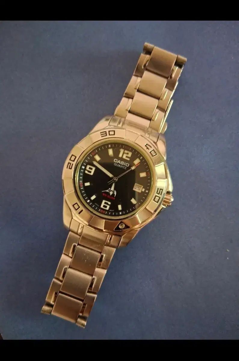 CASIO 新 새치