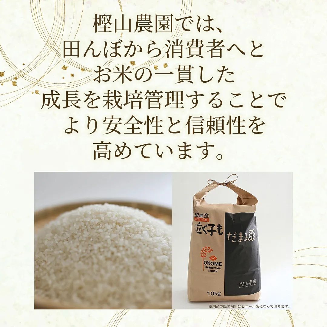 農家直送】徳島県産コシヒカリ白米10kg 令和7年産 1等米 送料無料