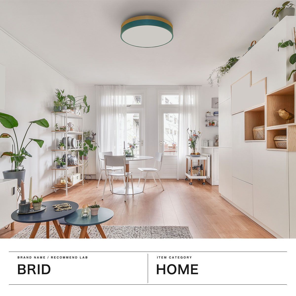 正規品1年保証】 ブリッド シーリングライト LED 薄型 BRID リビング