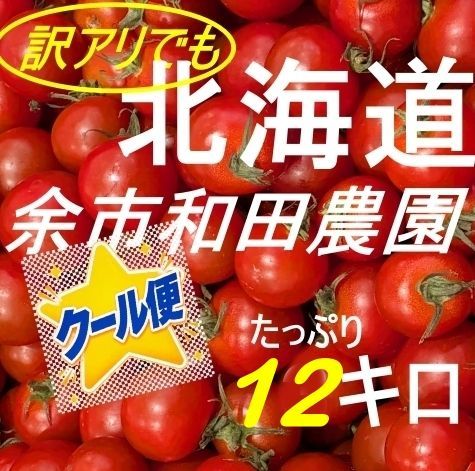 北海道産ミニトマト（訳アリ）　１２キロ　産地直送　クール便