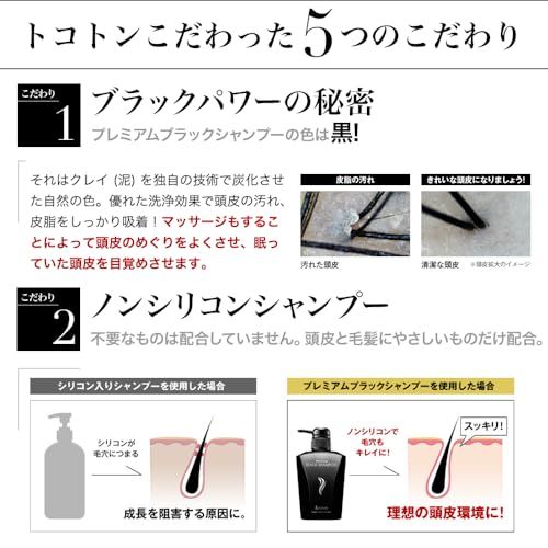 &GINO 頭皮ケア プレミアムブラックシャンプー 400ml【 スカルプ 男性用 メンズ 】pms