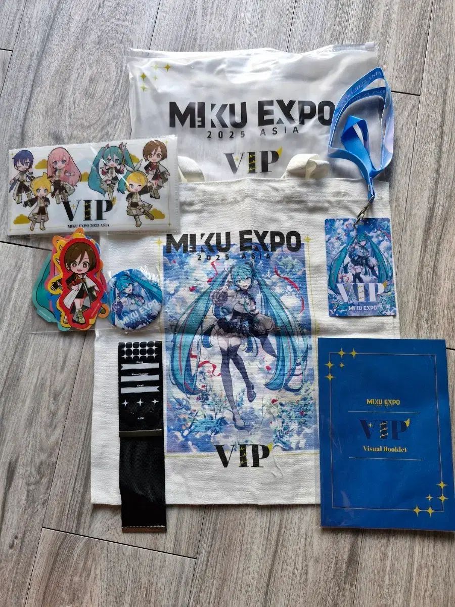 本 フランス風刺画・ユーモア研究誌 2冊 フランス語