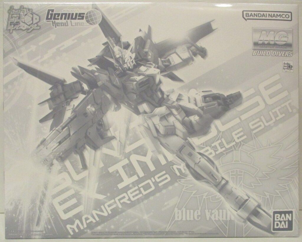 BANDAI SPIRITS MG ガンダムエクスインパルスその他