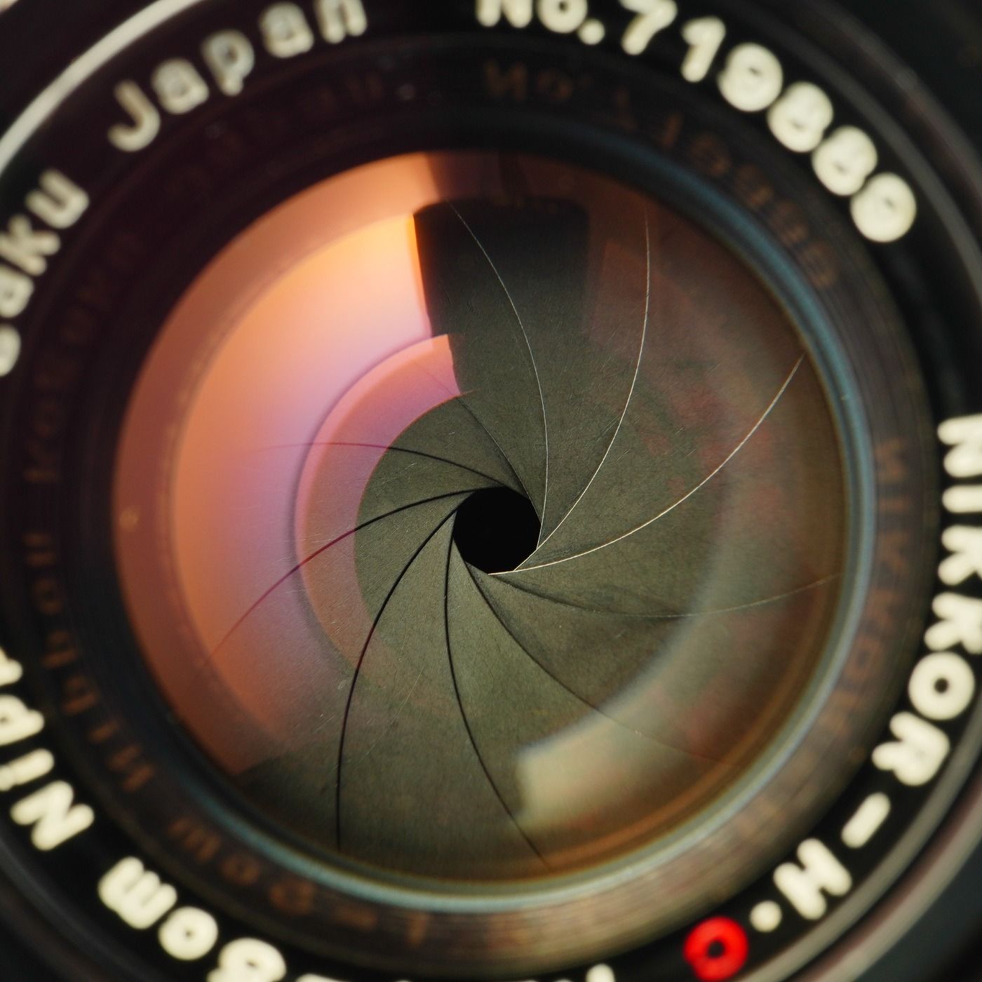 Serviced】 Nikon ニコン Nikkor-H.C 5cm 50mm F/2 For Leica LTM L39