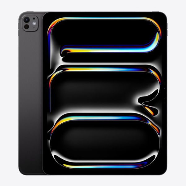 【中古】iPad Pro 第1世代 Wi-Fi 256GB(13インチ)(標準ガラス) M4 スペースブラック A2925 本体 Wi-Fiモデル Aランク タブレット アイパッド アップル apple 【送料無料】 ipdp1mtm3708