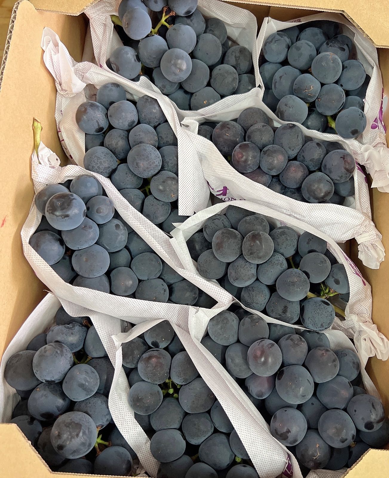 山梨産 種無しピオーネ 5kg 秀品 糖度23.55度 - メルカリ