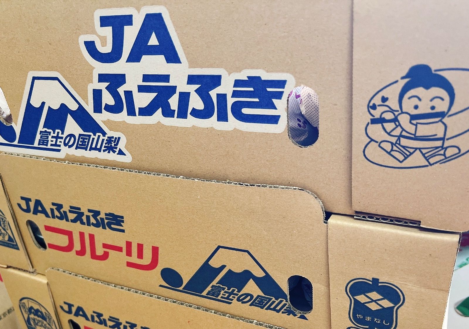 山梨産 種無しピオーネ 5kg 秀品 糖度23.55度 - メルカリ