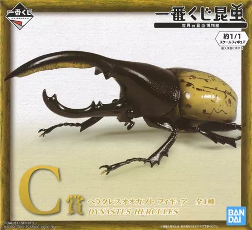 [Usado] Figura Escarabajo Hércules "Museo Mundial de Insectos Ichiban Kuji Insectos" Figura Premio C