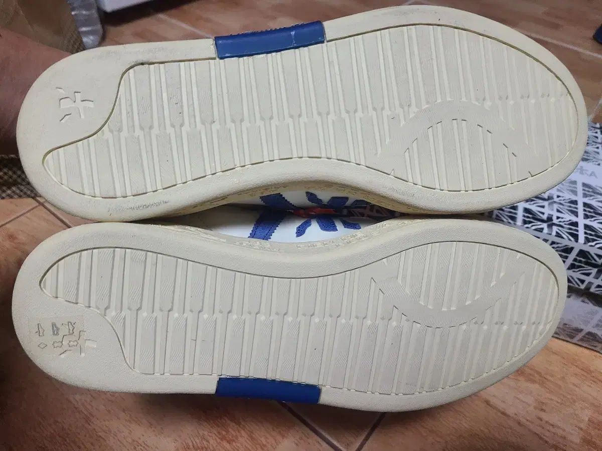 新品 正規品 PREMIATA(プレミアータ) ラッセル 41 (260オススメ) 新品 正規品 PREMIATA(プレミアータ) ラッセル 41 (260オススメ)