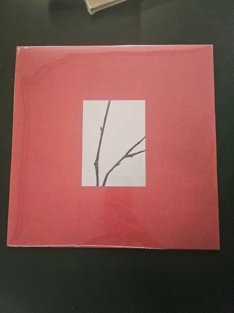 チェ・ユリ 滞在 一 LP 8,275円